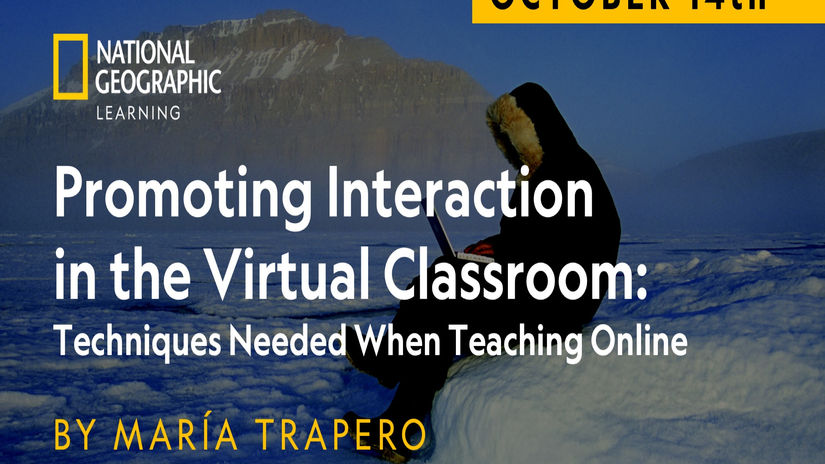 Promoting Interaction in the Virtual Classroom
